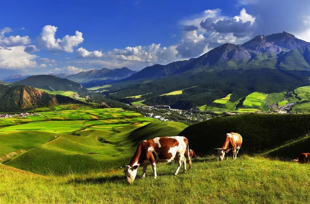 1528964300385192.jpg 05.jpg